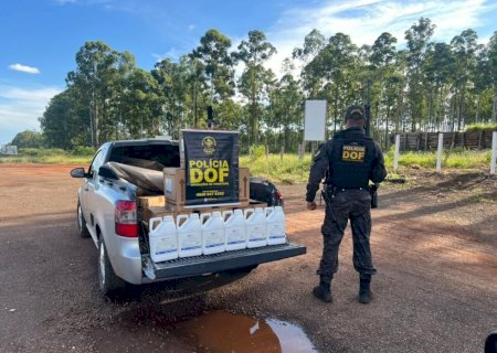 Polícia apreende carga de defensivos agrícolas avaliada em R$ 310 mil na fronteira