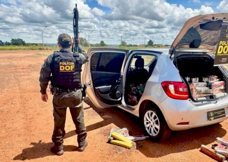 DOF apreende carro com mais de 560 quilos de maconha em  Assentamento