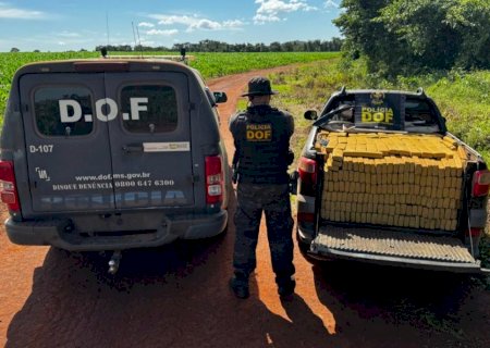 DOF apreende quase uma tonelada de maconha em MS