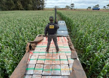 Motorista foge por milharal e abandona caminhão com 6 toneladas de maconha em Dourados