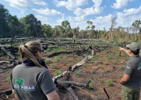 Combate ao tráfico agora inclui reflorestamento de áreas devastadas