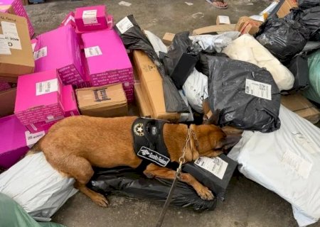 Cão farejador encontra mais de 1 kg de ecstasy em encomenda em Corumbá